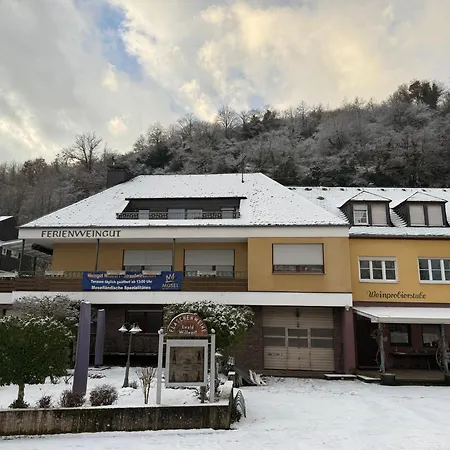 Erholung Mit Tal- Und Moselblick In Der Bruderschaft * Ensch