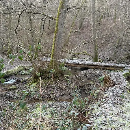 Apartamento Gaestehaus Lydia - Kluesserather Bruderschaft