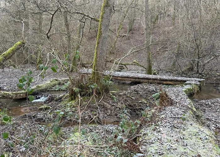 Apartamento Gaestehaus Lydia - Kluesserather Bruderschaft